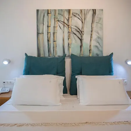 Elena Mykonos Hotel 3*