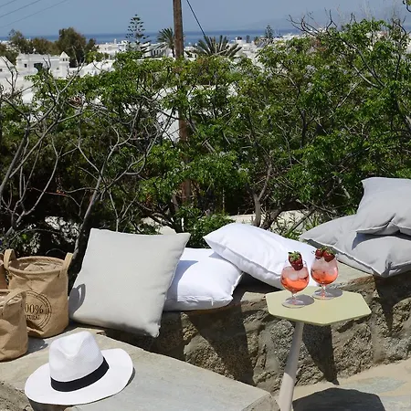 米科诺斯埃琳娜酒店 3* Mykonos Town