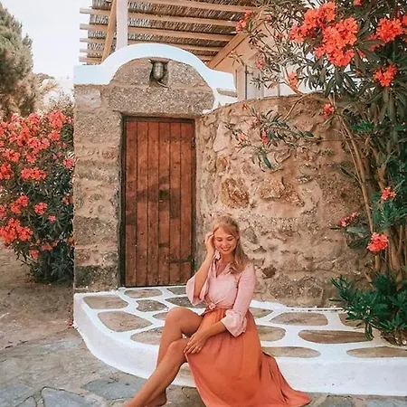 قندق إيلينا ميكونوس فندق