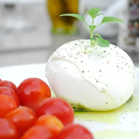 Elena Mykonos Hotell 3*