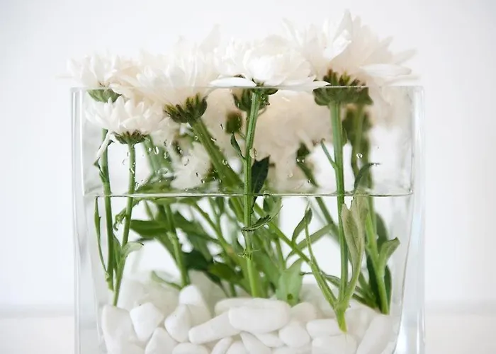 Hotel Elena Mykonos Mykonos Town