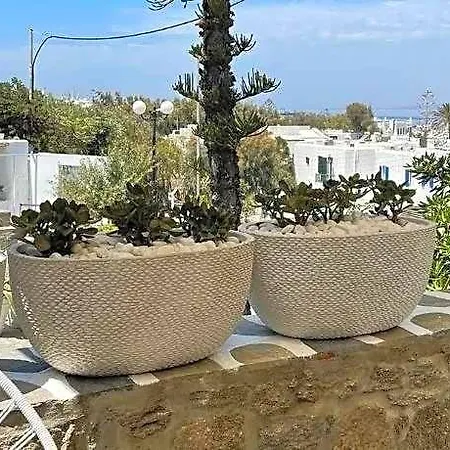 فندق قندق إيلينا ميكونوس