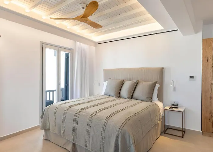 Elena Mykonos מלון 3*