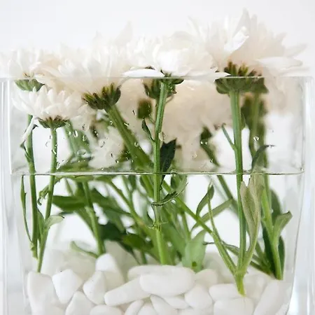 Отель Elena Mykonos Mykonos Town