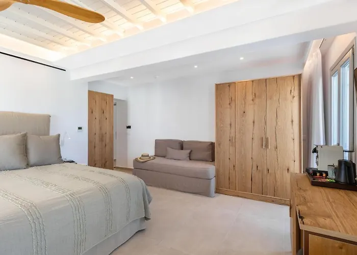 قندق إيلينا ميكونوس فندق Mykonos Town